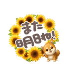 豆柴んず♡夏スタンプ（個別スタンプ：35）