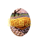夢でもとんかつ（個別スタンプ：3）
