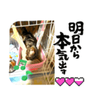 まんが猫#あいさつ#猫（個別スタンプ：8）