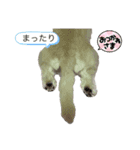 マルックスのエマさん夏バージョン（個別スタンプ：7）