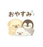 南極フレンド（個別スタンプ：5）