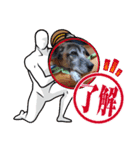 優しい老犬チョコじいさん（個別スタンプ：7）