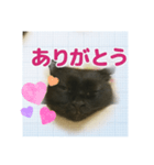 いい湯だな♨️ねこちん（個別スタンプ：7）