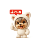 白クマの着ぐるみ3Dヨークシャテリア（個別スタンプ：12）