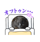 2025年ぬこ様 Ⅱ（個別スタンプ：3）