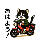 ネコライダーのカブ主 日常会話（個別スタンプ：1）