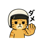 ネコライダーのカブ主 日常会話（個別スタンプ：24）