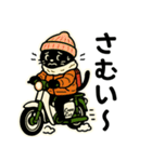 ネコライダーのカブ主 日常会話（個別スタンプ：29）