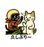 ネコライダーのカブ主 日常会話（個別スタンプ：34）