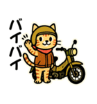 ネコライダーのカブ主 日常会話（個別スタンプ：39）