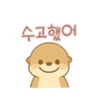 可愛いカワウソ 韓国語（個別スタンプ：1）