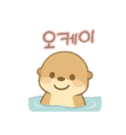 可愛いカワウソ 韓国語（個別スタンプ：2）