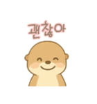 可愛いカワウソ 韓国語（個別スタンプ：3）
