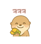 可愛いカワウソ 韓国語（個別スタンプ：4）