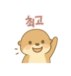 可愛いカワウソ 韓国語（個別スタンプ：5）