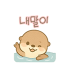 可愛いカワウソ 韓国語（個別スタンプ：7）