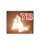 焚き火しよう（個別スタンプ：12）