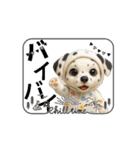 子犬:アニメーション①（個別スタンプ：2）