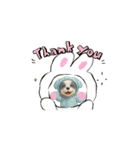 子犬:アニメーション①（個別スタンプ：4）