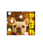 動くブヒブヒなかま 3（個別スタンプ：1）