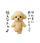 関西弁♡エッホエッホほんわかトイプー（個別スタンプ：3）