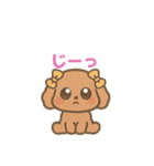 可愛いトイプードルのなかよし会話（個別スタンプ：1）