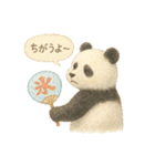 ふわふわパンダの夏スタンプ（個別スタンプ：23）