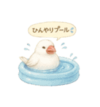 夏だ！文鳥とオカメの涼スタンプ（個別スタンプ：6）