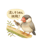 夏だ！文鳥とオカメの涼スタンプ（個別スタンプ：10）