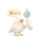夏だ！文鳥とオカメの涼スタンプ（個別スタンプ：15）