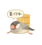 夏だ！文鳥とオカメの涼スタンプ（個別スタンプ：21）