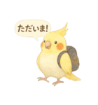 夏だ！文鳥とオカメの涼スタンプ（個別スタンプ：28）
