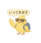 夏だ！文鳥とオカメの涼スタンプ（個別スタンプ：29）