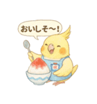 夏だ！文鳥とオカメの涼スタンプ（個別スタンプ：35）