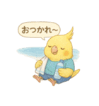 夏だ！文鳥とオカメの涼スタンプ（個別スタンプ：36）
