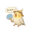 夏だ！文鳥とオカメの涼スタンプ（個別スタンプ：37）
