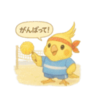 夏だ！文鳥とオカメの涼スタンプ（個別スタンプ：39）