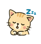 ooo猫のスタンプooo（個別スタンプ：10）