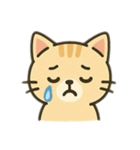 ooo猫のスタンプooo（個別スタンプ：11）