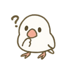 文鳥のスタンプ01（個別スタンプ：5）