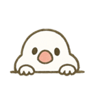 文鳥のスタンプ01（個別スタンプ：7）