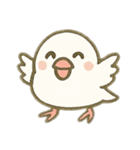 文鳥のスタンプ01（個別スタンプ：10）