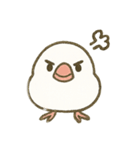 文鳥のスタンプ01（個別スタンプ：12）