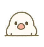 文鳥のスタンプ01（個別スタンプ：15）