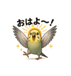 インコのスタンプ(日常使い)（個別スタンプ：1）