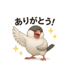 インコのスタンプ(日常使い)（個別スタンプ：5）