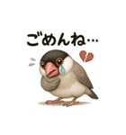 インコのスタンプ(日常使い)（個別スタンプ：6）