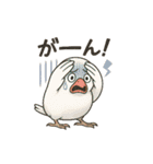 インコのスタンプ(日常使い)（個別スタンプ：12）