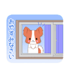 ちびパピヨン18【夏】（個別スタンプ：2）