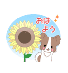 飛び出す！ちびパピヨン18【夏】（個別スタンプ：1）